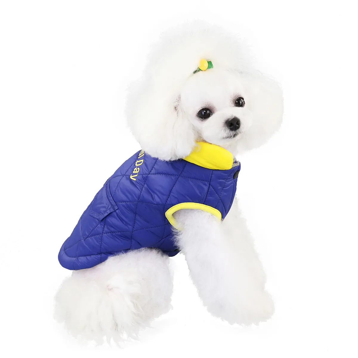 Small dog cotton coat with pocket pet clothing